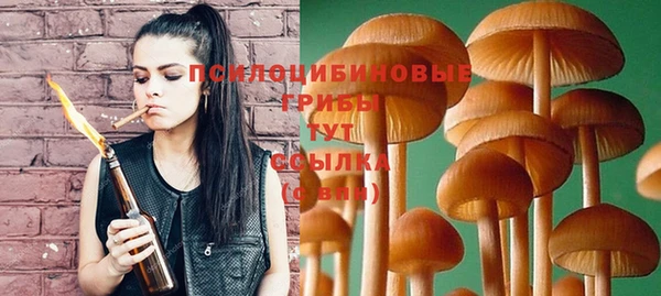 альфа пвп Бородино